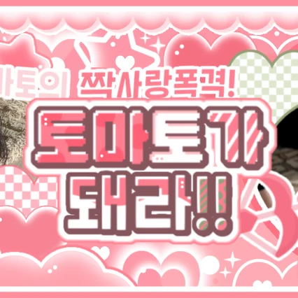 Fans' Pick: Best Moment of Sakuya (NCT WISH)