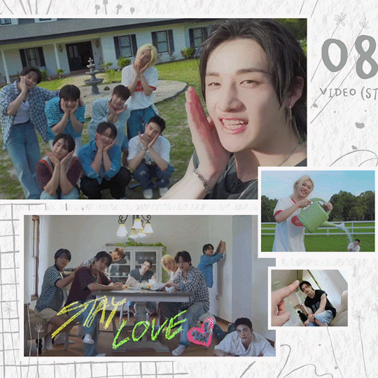 Today's Most Loved Stray Kids