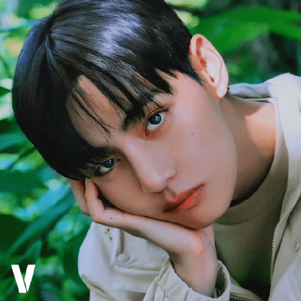 Shining profile picture of V (BTS) on today's Choeaedol