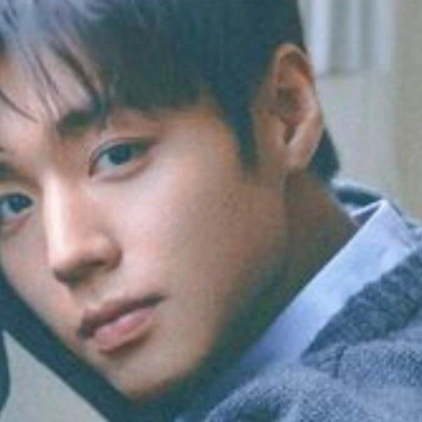 パク・ジフンへの愛が詰まった人気写真