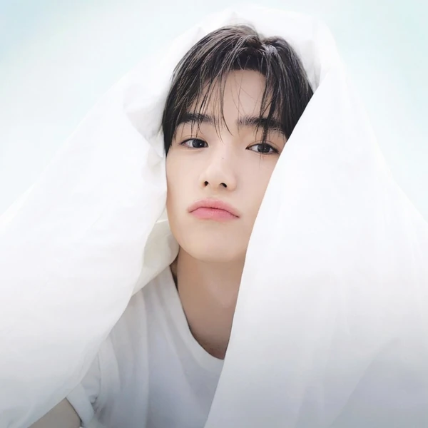 充满粉丝爱意的THE BOYZ人气照片