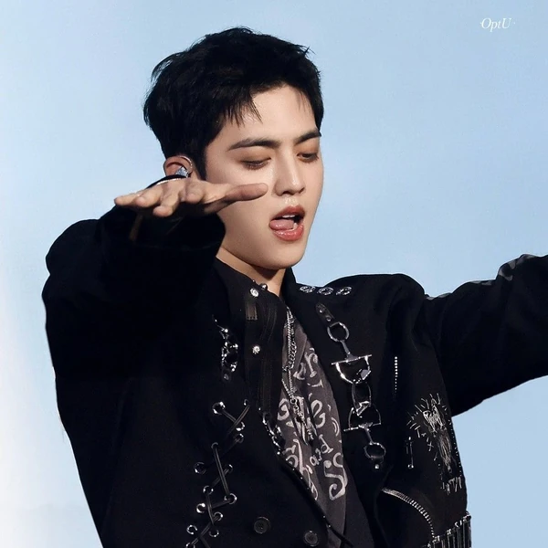 Fans' Pick: Best Moment of S.Coups (SEVENTEEN)