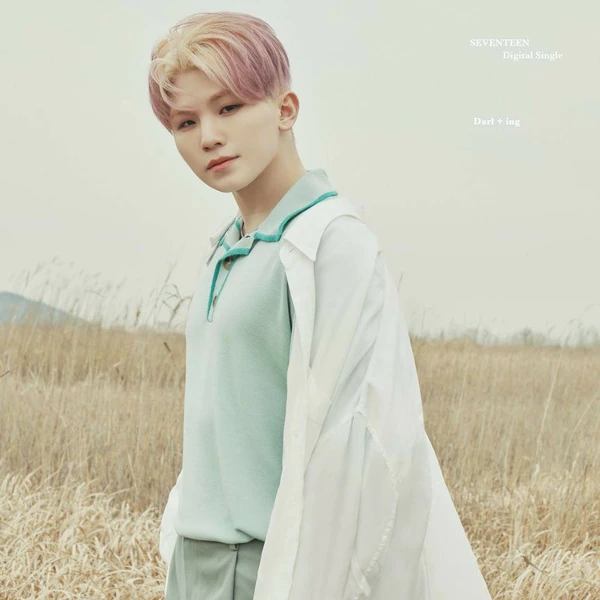 Fans' Pick: Best Moment of Woozi (SEVENTEEN)