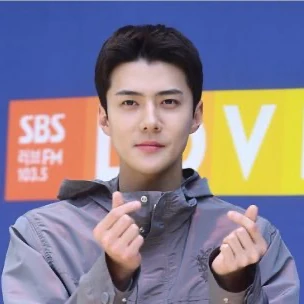 세훈 (EXO) 팬심 가득한 인기 사진