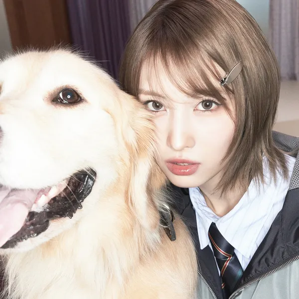 ファンが選んだモモ (TWICE)最高の瞬間