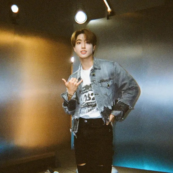 Fans' Pick: Best Moment of HAN (Stray Kids)