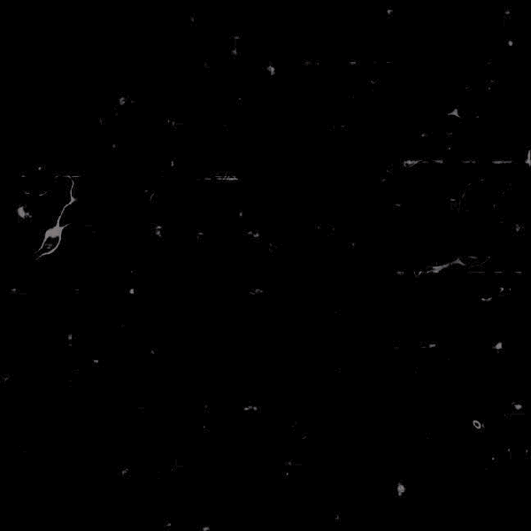 rankingBanner