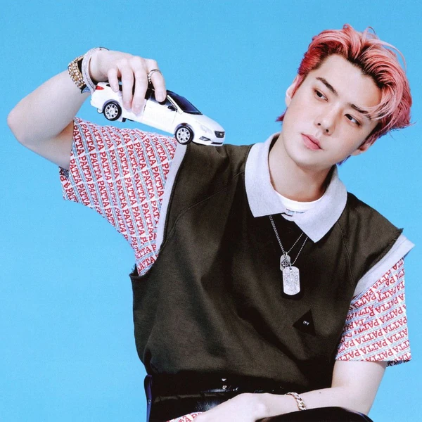 充滿粉絲愛意的世勳 (EXO)人氣照片