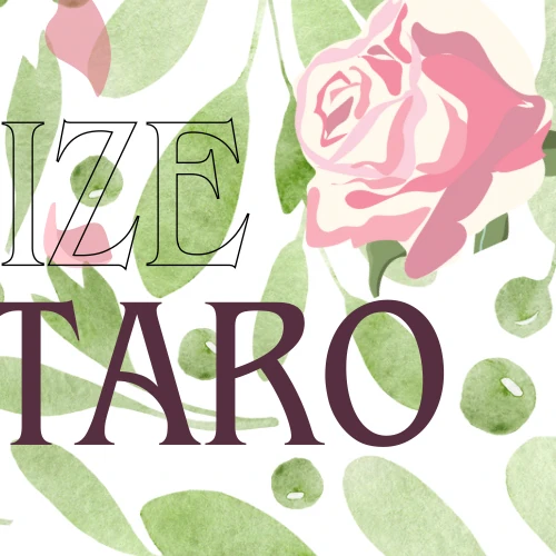Fans' Pick: Best Moment of SHOTARO (RIIZE)