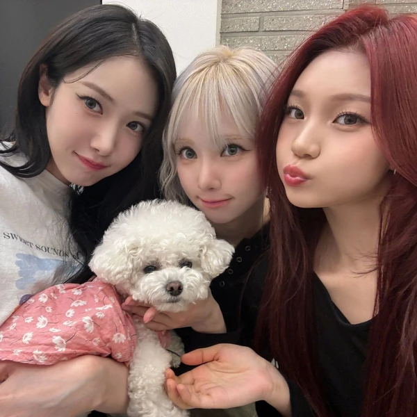 Top Photo Full of VIVIZ Love