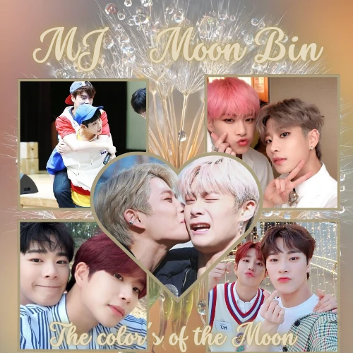 팬들이 뽑은 MJ (아스트로) 최고의 순간