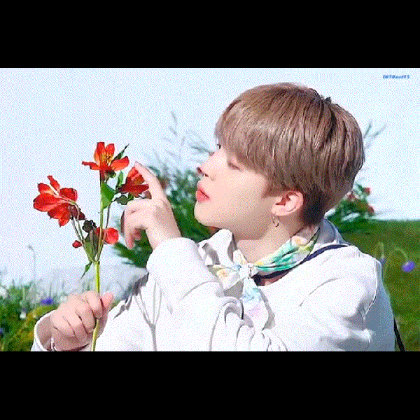 Popular profile image of Jimin (BTS) selected by votes
