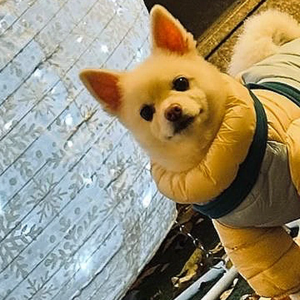 Fans' Pick: Best Moment of Ravn