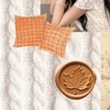 充满粉丝爱意的穗珍人气照片