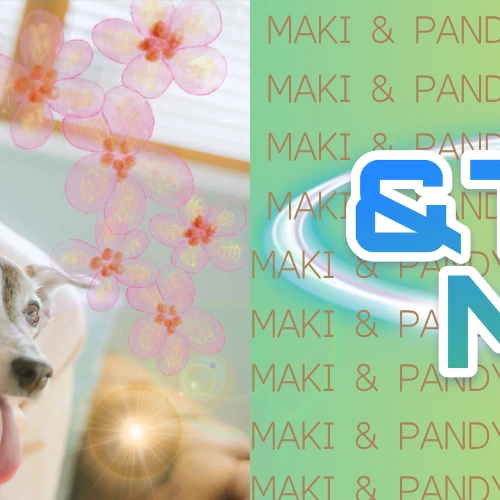 今日最受喜愛的Maki (&TEAM)