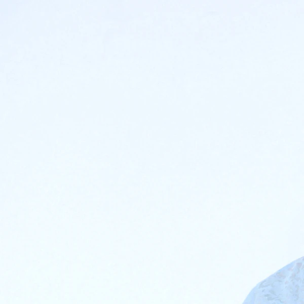 rankingBanner