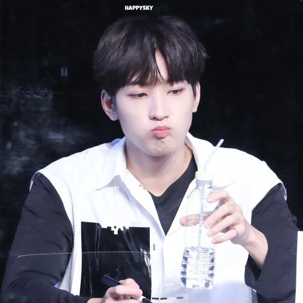 Fans' Pick: Best Moment of Wonwoo (SEVENTEEN)