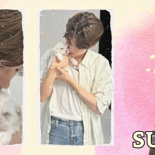 Fans' Pick: Best Moment of Sung Hanbin (ZEROBASEONE)