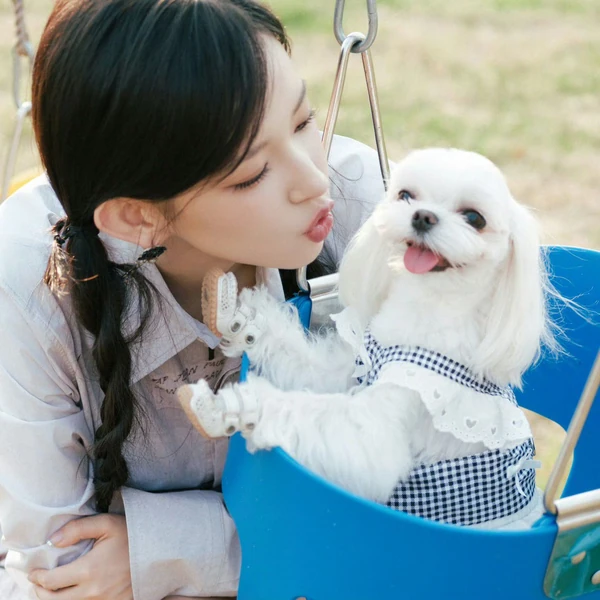 Today's Most Loved Cheng Xiao