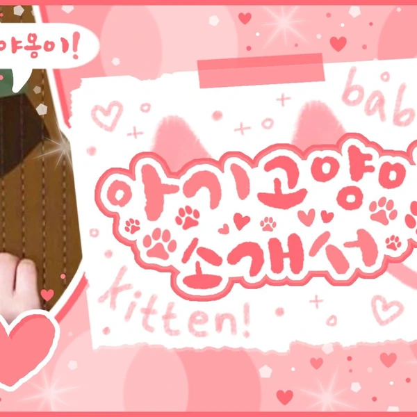 Fans' Pick: Best Moment of Kyujin (NMIXX)