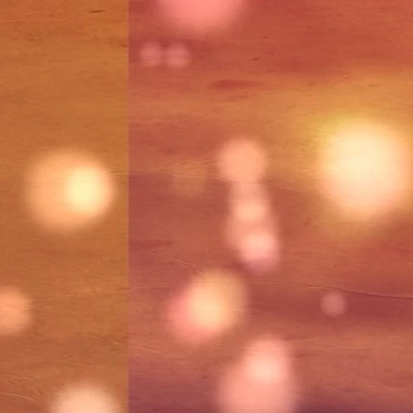 rankingBanner