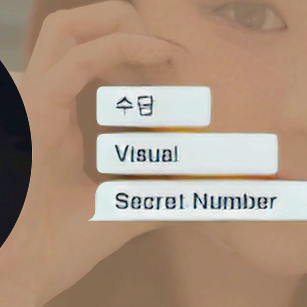 팬들이 뽑은 수담 (SECRET NUMBER) 최고의 순간
