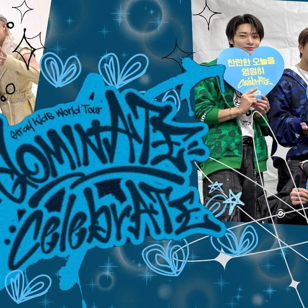 Fans' Pick: Best Moment of HAN (Stray Kids)