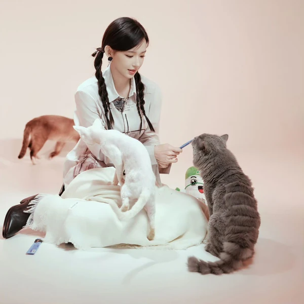 Fans' Pick: Best Moment of Cheng Xiao