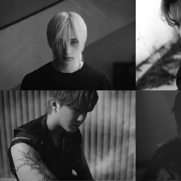 Today's Most Loved Stray Kids