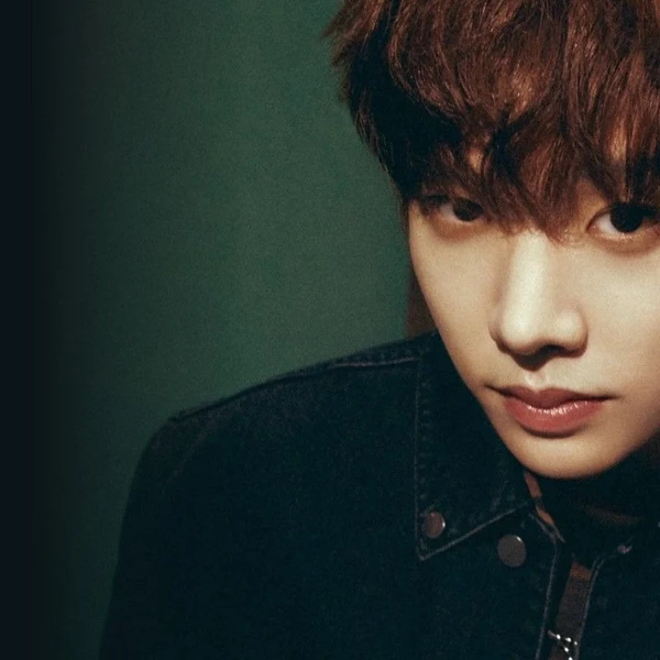 Fans' Pick: Best Moment of Hyunmin (ARrC)