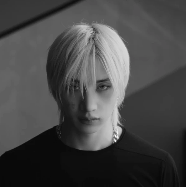 充满粉丝爱意的方灿 (Stray Kids)人气照片