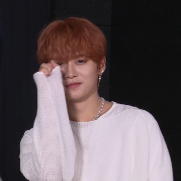 Top Photo Full of Lee Know (Stray Kids) Love