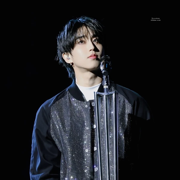 Fans' Pick: Best Moment of HAN (Stray Kids)