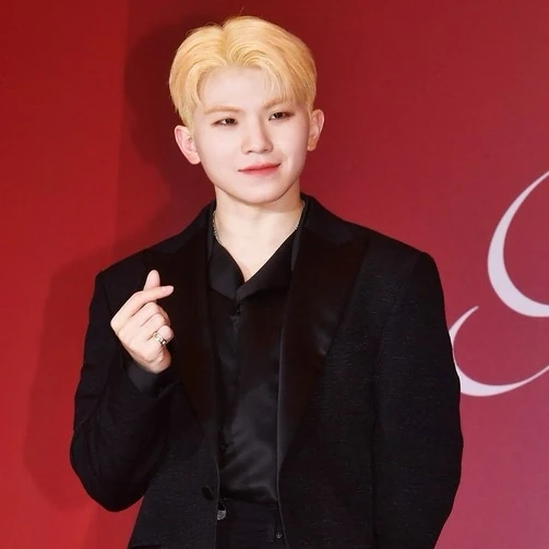 Fans' Pick: Best Moment of Woozi (SEVENTEEN)