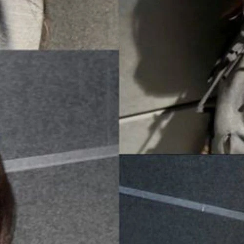 Fans' Pick: Best Moment of Hyein (NewJeans)