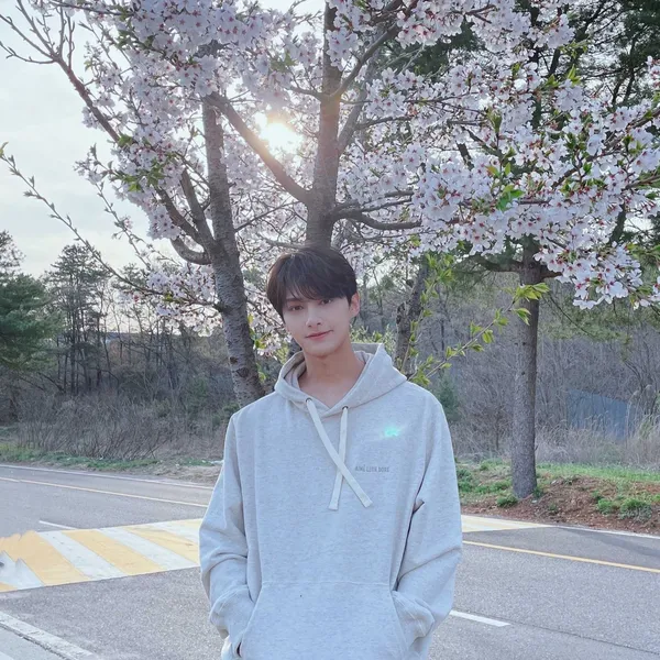 Fans' Pick: Best Moment of Jun (SEVENTEEN)