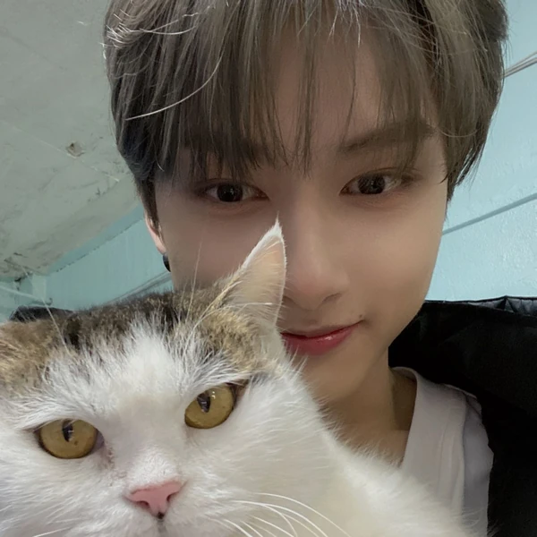 Fans' Pick: Best Moment of Jun (SEVENTEEN)
