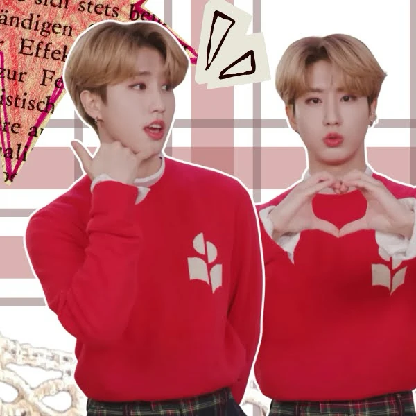 Fans' Pick: Best Moment of HAN (Stray Kids)