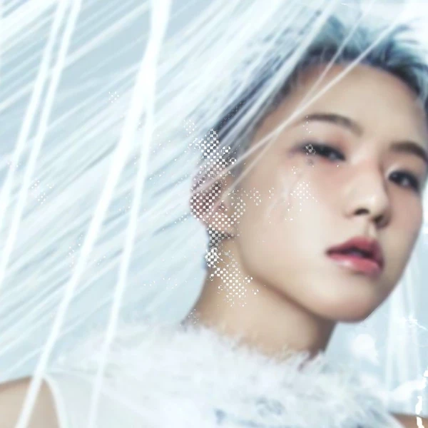 SEVENTEENへの愛が詰まった人気写真