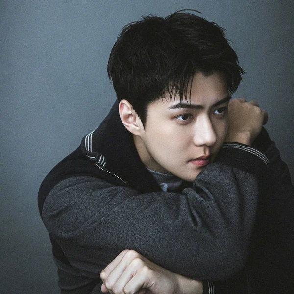 세훈 (EXO) 팬심 가득한 인기 사진