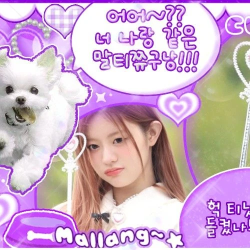 Fans' Pick: Best Moment of Minju (ILLIT)