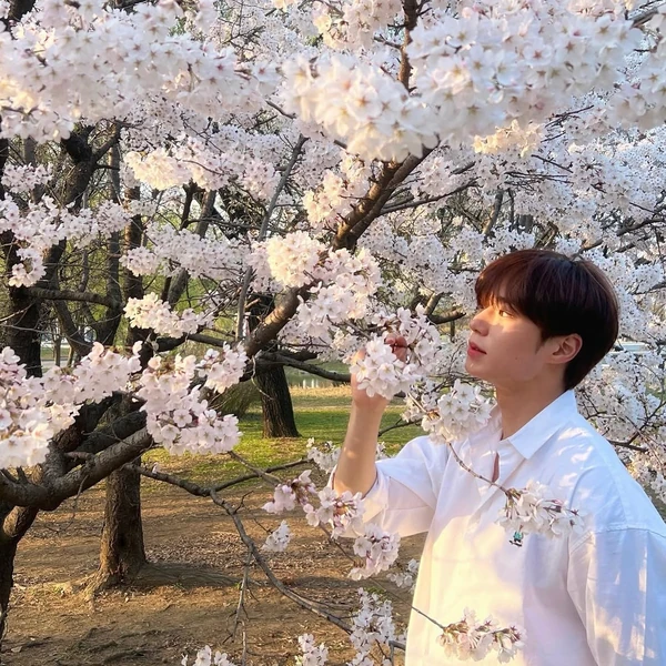 Best moment chosen by Kim Junseo (ALPHA DRIVE ONE) fandom