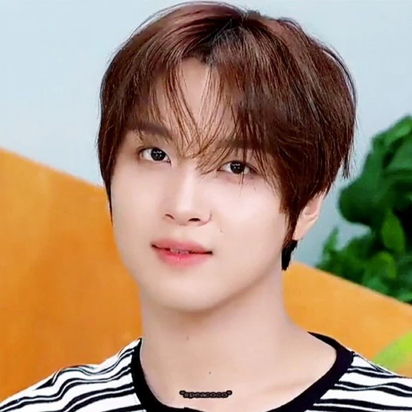 Today's Most Loved Haechan (NCT 127, NCT DREAM)
