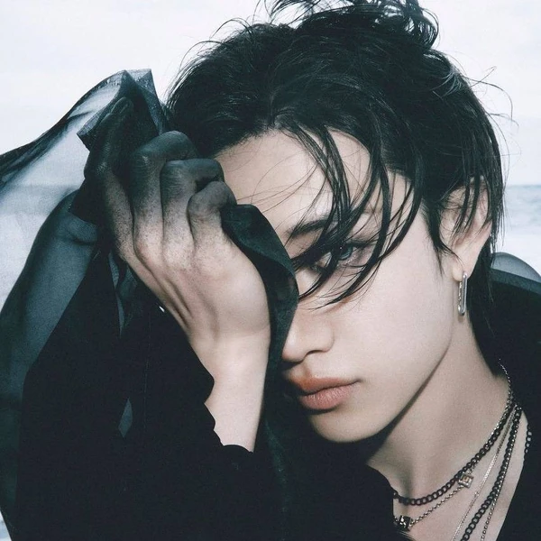 Today's Most Loved Bang Chan (Stray Kids)