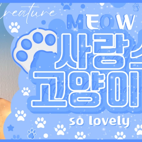 팬들이 뽑은 채영 (TWICE) 최고의 순간