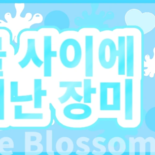 Top Photo Full of Mina (TWICE) Love