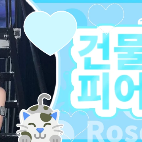 Fans' Pick: Best Moment of Mina (TWICE)