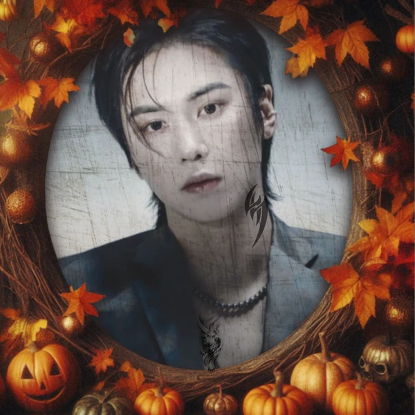 今天最受喜爱的Rocky