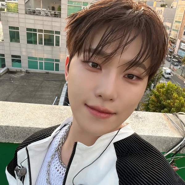 Today's Most Loved Dino (SEVENTEEN)