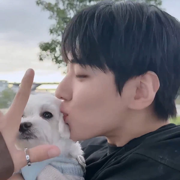 Today's Most Loved Jaechan (DKZ)